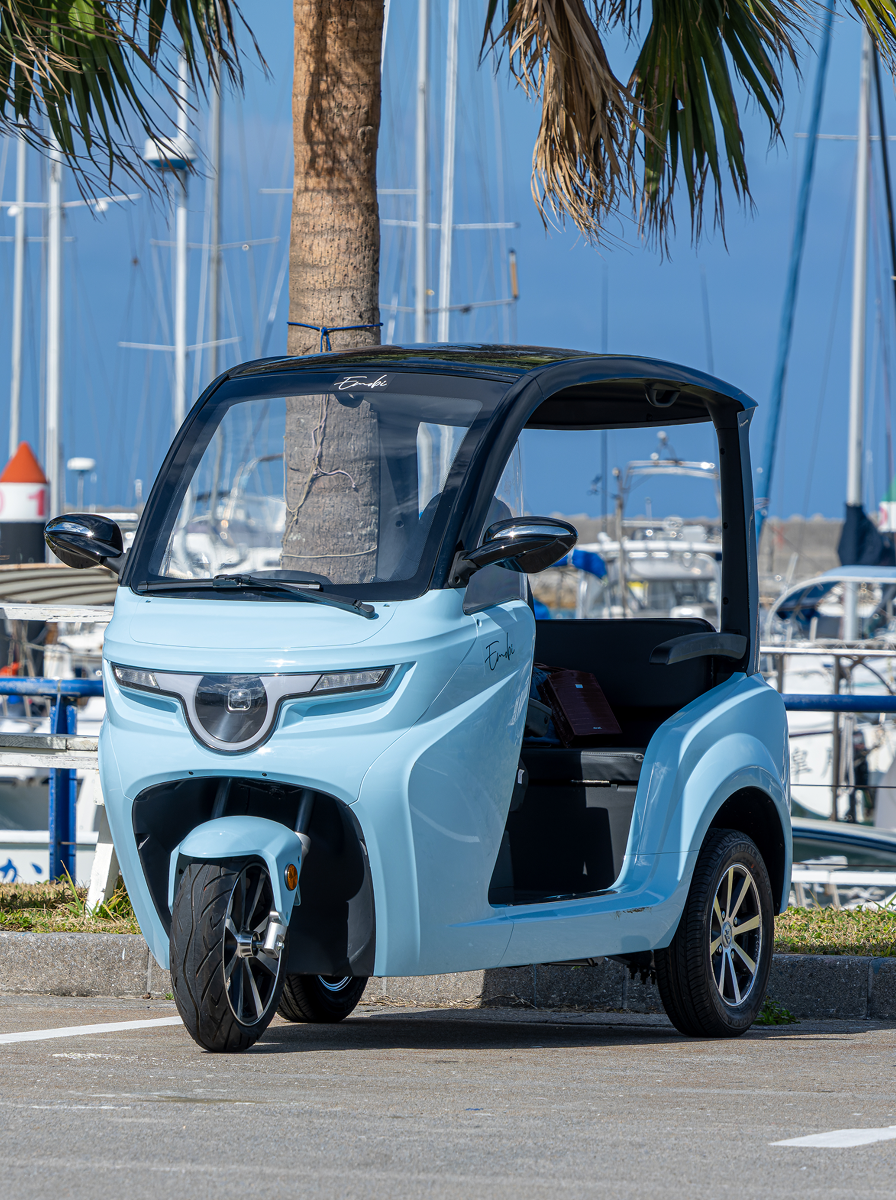 Emobi ブルーカラー