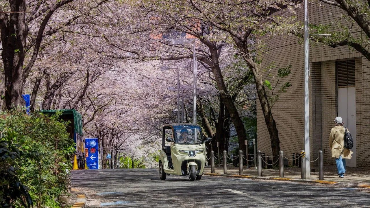 Service 3 Background