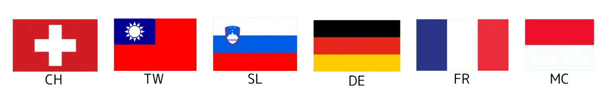 International Driving Permit Example